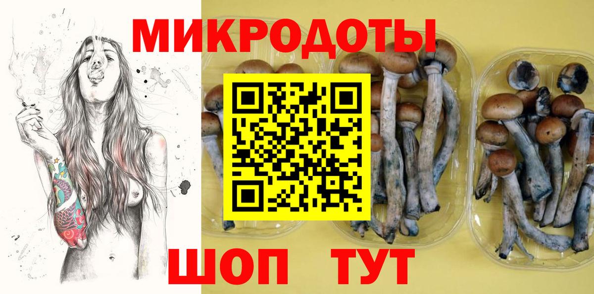 Псилоцибиновые грибы GOLDEN TEACHER Россошь