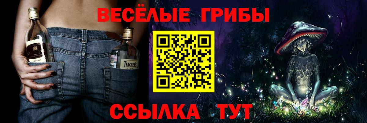 Россошь  Псилоцибиновые грибы Psilocybine cubensis  Вход с VPN  Псилоцибиновые грибы мицелий 